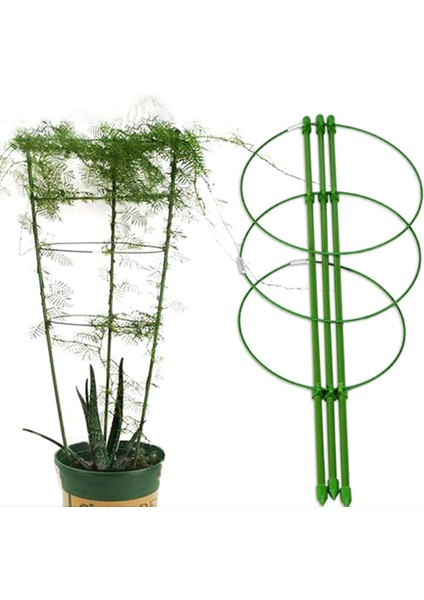 Asma Tırmanma Rafı 60 cm Çiçek Bitki Kafes Bitki Destek Çerçevesi Bahçe Aletleri Podazz (Yurt Dışından)
