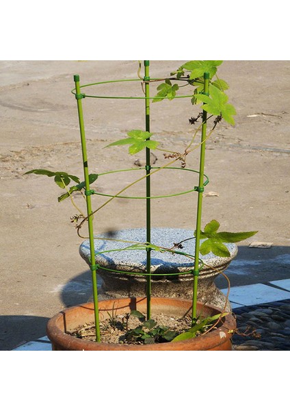 Asma Tırmanma Rafı 60 cm Çiçek Bitki Kafes Bitki Destek Çerçevesi Bahçe Aletleri Podazz (Yurt Dışından) fırsatları