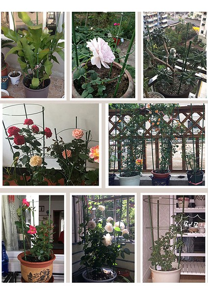 Asma Tırmanma Rafı 60 cm Çiçek Bitki Kafes Bitki Destek Çerçevesi Bahçe Aletleri Podazz (Yurt Dışından) indirimleri