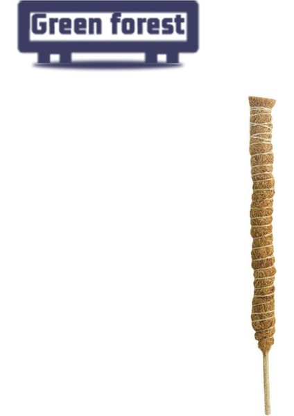 Yeşil Orman Bitki Destek Hissesi Evrensel El Yapımı Dıy Ücretsiz Asma Hindistan Cevizi Hurma Ipek Desteği (Yurt Dışından)