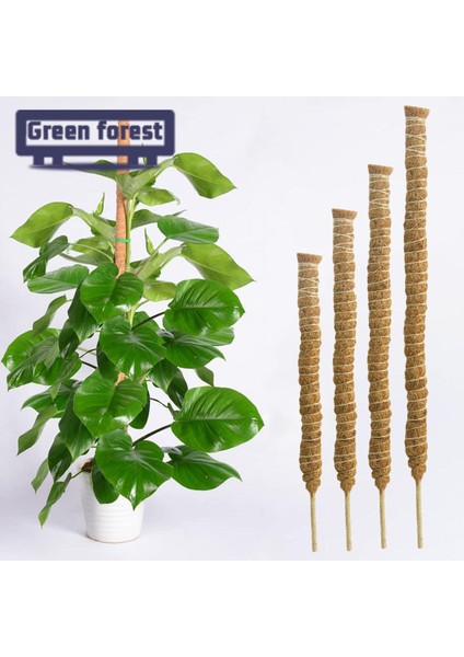 Yeşil Orman Bitki Destek Hissesi Evrensel El Yapımı Dıy Ücretsiz Asma Hindistan Cevizi Hurma Ipek Desteği (Yurt Dışından) fırsatları