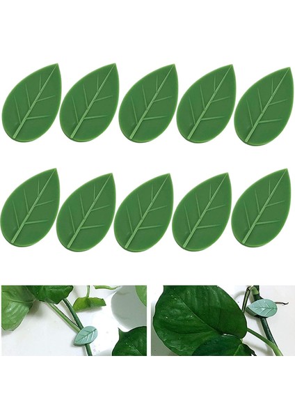 Armatür Klipsi Kendinden Yapışkanlı Bitki Tırmanma Duvarı Armatür Klipsi (Yurt Dışından) modelleri