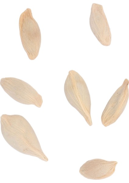 Limon Tohumları, 50 Tohum Yenilebilir 98% Saflıkta Balkon Için Avlu Için Limon Bonsai Ağacı Tohumları Bahçe Için (Yurt Dışından) fırsatları