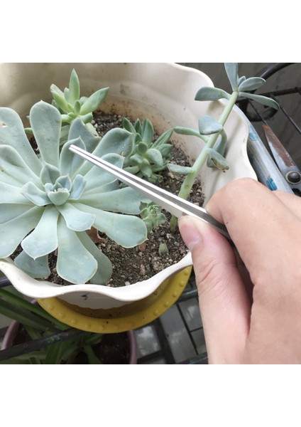 Bahçecilik Kök Tırmığı Işgücü Tasarrufu Sağlayan Çok Amaçlı 3 Uçlu Kök Tırmığı Bahçecilik Aleti (Yurt Dışından) modelleri