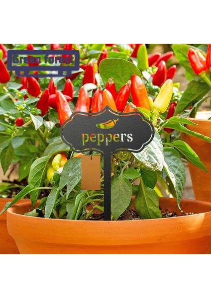 Yeşil Orman Bitki Işaretleyici Su Geçirmez Bahçecilik Meyve Sebze Tohum Etiketi (Yurt Dışından) indirimleri