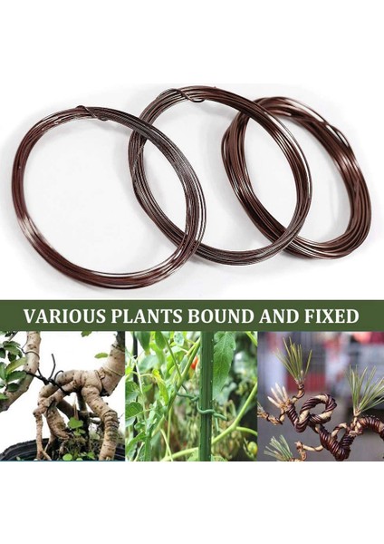 Bonsai Tel Seti - 9 Rulo Eloksallı Alüminyum Ağaç Eğitim Telleri - Kahverengi (Yurt Dışından) modelleri