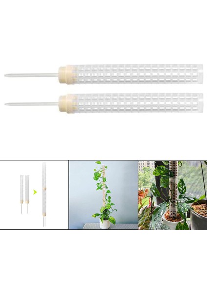 Tırmanma Bitkisi Creepers Yosun Direği Hindistan Cevizi Yosunu Orkide Için Totem Direği Çubuğu (Yurt Dışından) fırsatları