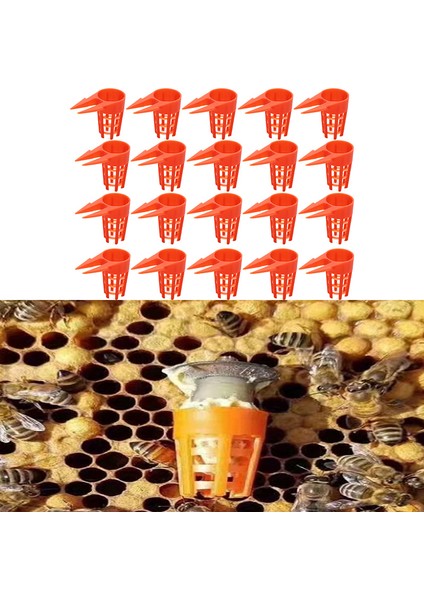 20 Adet Plastik Arı Kraliçe Koruyucu Hücre Kapağı Arıcılık Ekipmanları Kafes Aracı Güneş Işığı Süper Mağaza (Yurt Dışından)