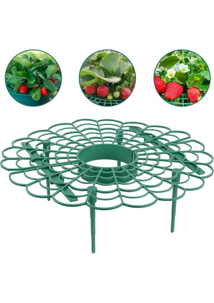 Depolama Tutucu Çatlamaya Dayanıklı Yeşil Güvenilir Bitki Standı (Yurt Dışından) fırsatları