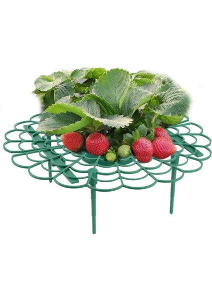 Depolama Tutucu Çatlamaya Dayanıklı Yeşil Güvenilir Bitki Standı (Yurt Dışından) indirimleri