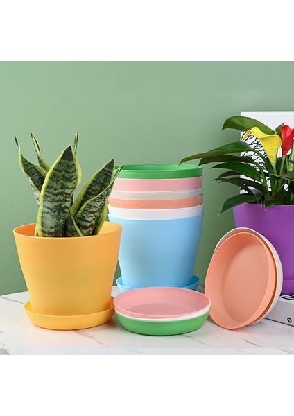 Fide Saksısı Sağlam Modern Dekoratif Fidanlık Kabı (Yurt Dışından) fiyatları