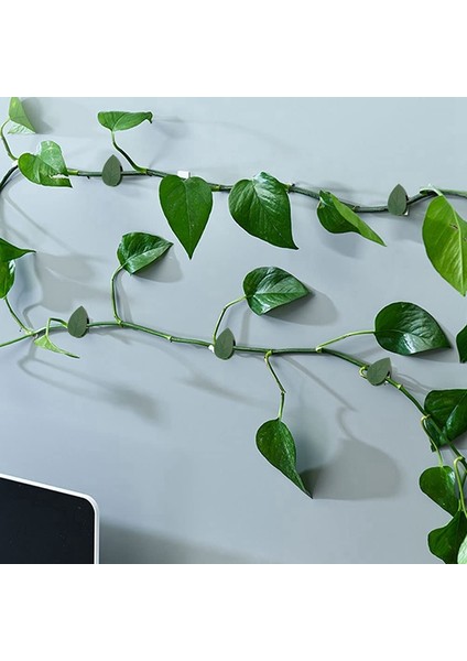 Bitki Tırmanma Duvarı Fikstür Klipsleri 60 Adet Görünmez Sarmaşıklar Sabitleme Klipsleri (Yurt Dışından)