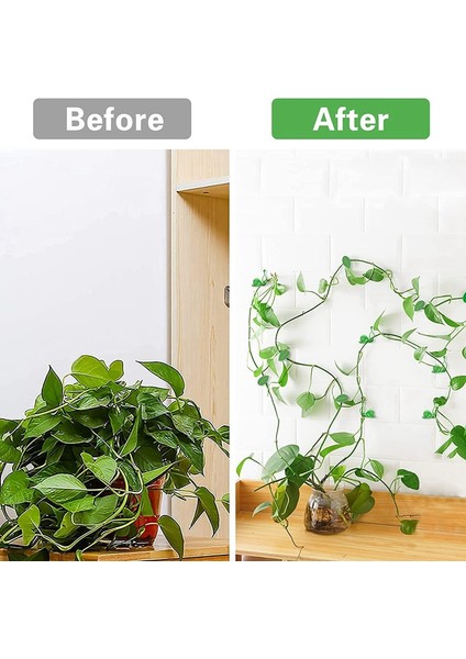 Bitki Tırmanma Duvarı Fikstür Klipsleri 60 Adet Görünmez Sarmaşıklar Sabitleme Klipsleri (Yurt Dışından) indirimleri