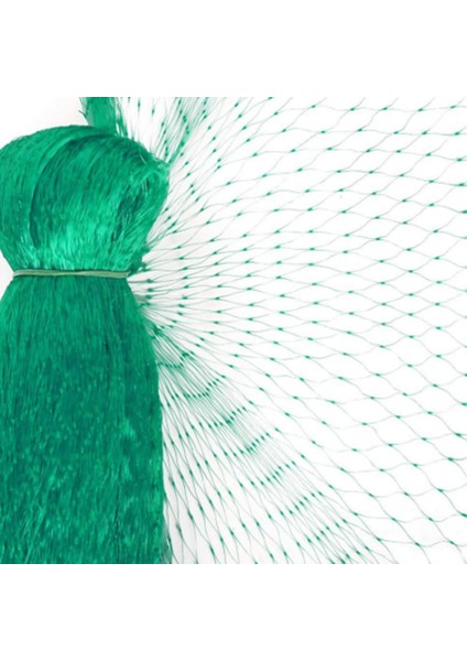 Anti-Kuş Netleştirme Bahçe Meyve Kafesi Mahsul Sebze Gölet Koruma Mesh 2 x 10M Podazz (Yurt Dışından)