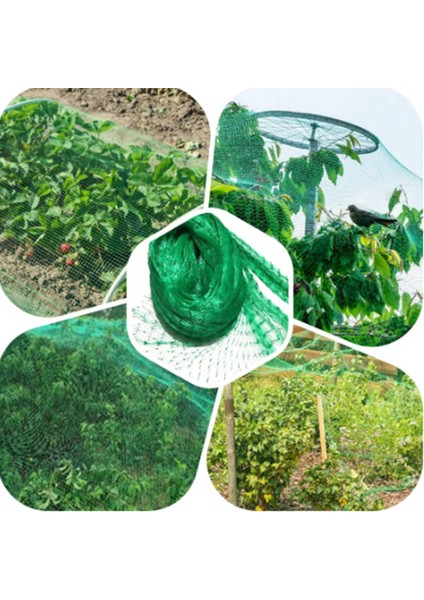 Anti-Kuş Netleştirme Bahçe Meyve Kafesi Mahsul Sebze Gölet Koruma Mesh 2 x 10M Podazz (Yurt Dışından) fırsatları