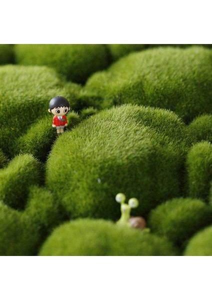 2x Çim Mat - Ev Için Taş Şekilli Yapay Çimler Halıları (Yurt Dışından)