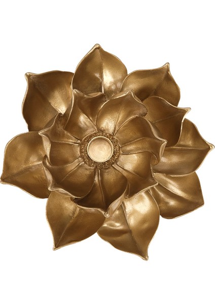 Lotus Mumluk / M modelleri