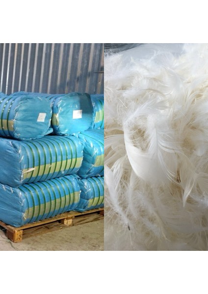 2 Kg. %100 Kaz Tüyü Dolgu Metaryeli %100 doğal