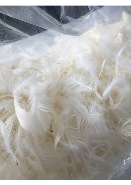 2 Kg. %100 Kaz Tüyü Dolgu Metaryeli %100 doğal fiyatları