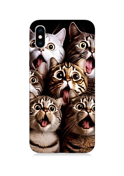 Apple iPhone x Uyumlu Şaşkın Kediler Desenli Silikon Kılıf