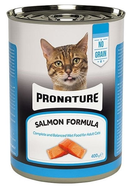 Tahılsız Somonlu Ezme Yetişkin Konserve Kedi Maması 400 gr