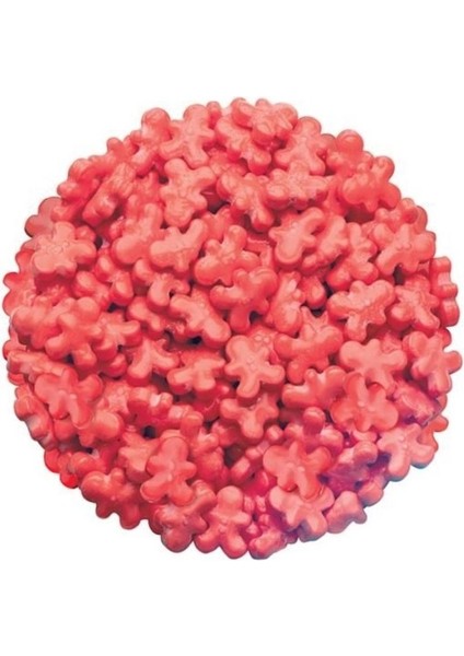 Gingerman Şeker 90 gr fiyatları