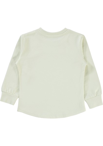 Erkek Çocuk Sweatshirt 2-5 Yaş Fil Dişi fiyatları