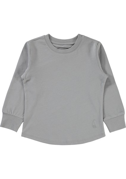 Erkek Çocuk Sweatshirt 2-5 Yaş Gri
