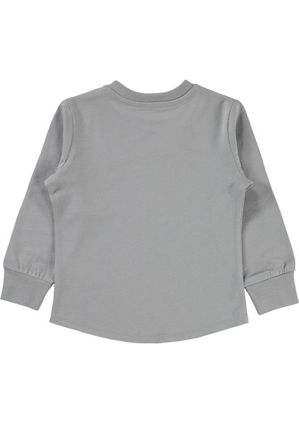 Erkek Çocuk Sweatshirt 2-5 Yaş Gri fiyatları