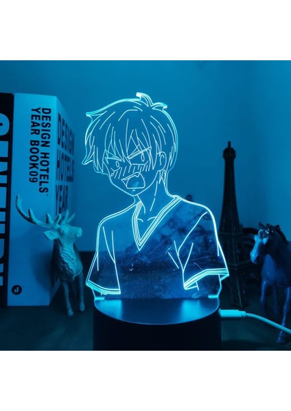 Hayranları Için Anime Meyve Sepetli 3D Gece Lambası 16 Renkler Dekor Illusion Uzaktan Kumandalı LED Lamba, Manga Kyo Şekil Noel Hediyesi Oyuncaklar Çocuklar/erkekler (Yurt Dışından)