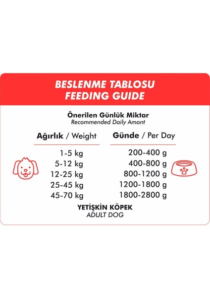 Kuzu Etli Yetişkin Köpek Konservesi 400 gr x 6 Adet