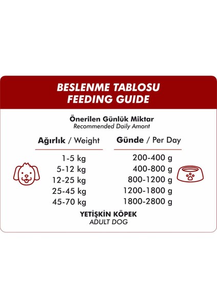 Biftekli Yetişkin Köpek Konservesi 400 gr x 12 Adet