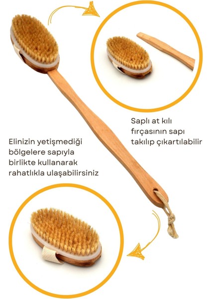 At Kılı Selülit Masaj Fırçası Çıkarılabilir Ahşap Saplı Peeling Fırça  %100 Doğal