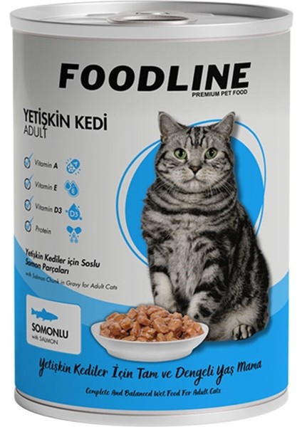 Somonlu Yetişkin Kedi Konservesi 400 gr x 6 Adet