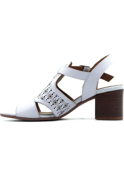 Kadın Hakiki Deri Günlük Sandalet (36-40) 23Y 1857209Y Z fiyatları