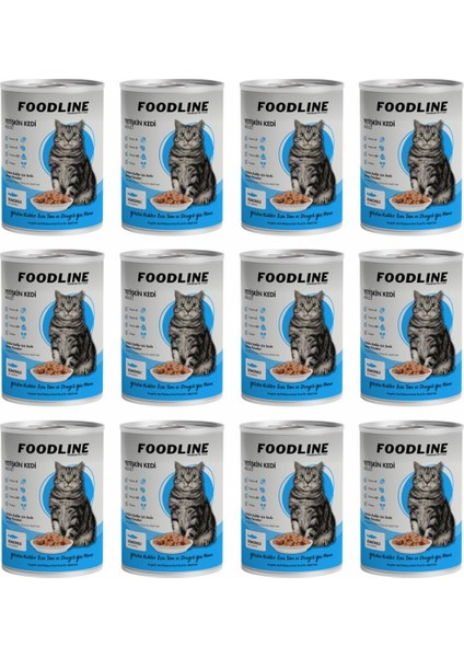 Somonlu Yetişkin Kedi Konservesi 400 gr x 12 Adet