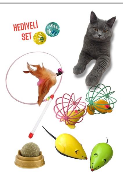 Kedi Oyuncak Seti