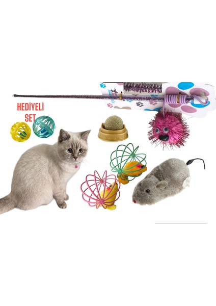 Kedi Oyuncak Seti