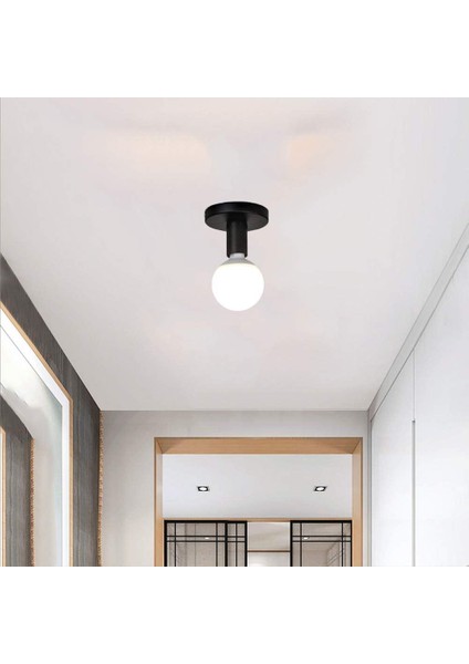 Adet Tavan Lambası-Işık Kaynağı Olmadan-Siyah Model (Yurt Dışından)