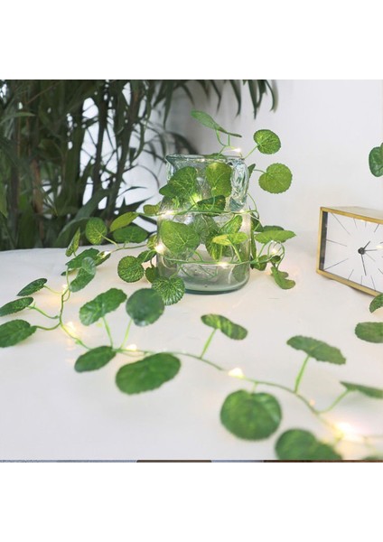1 Adet Güneş Yeşil Yaprak Rattan Işık Dize-2 Metre 20 Işık (Yurt Dışından)