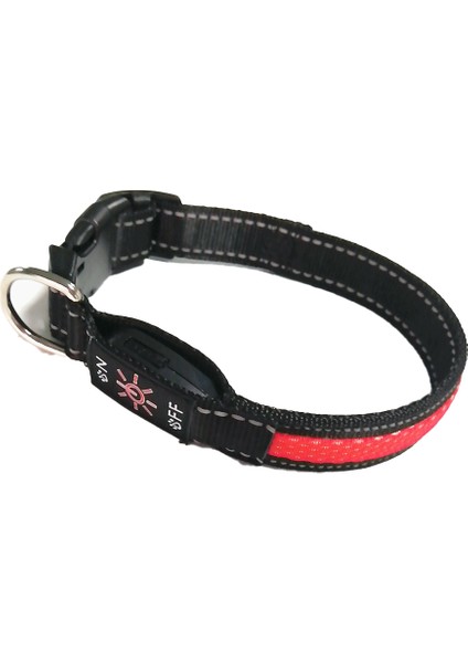 LED Pet Işıklı Yaka-Kırmızı-M (Yurt Dışından)