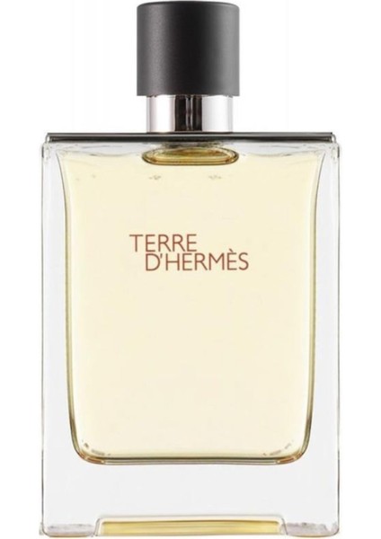 Terre D' Edt 100 ml Erkek Parfümü