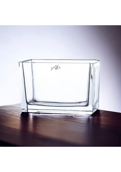 Sandra Rich Vazo modelleri