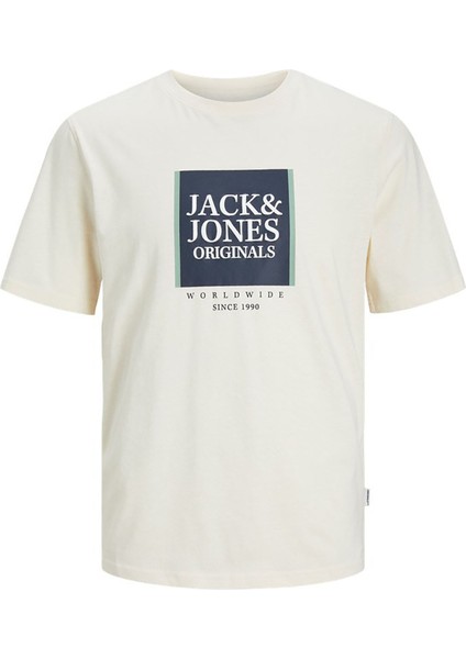 Jack & Jones Erkek T-Shirt 12252681