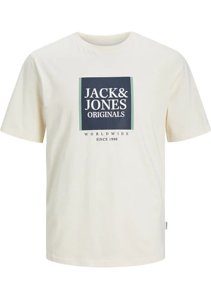 Jack & Jones Erkek T-Shirt 12252681