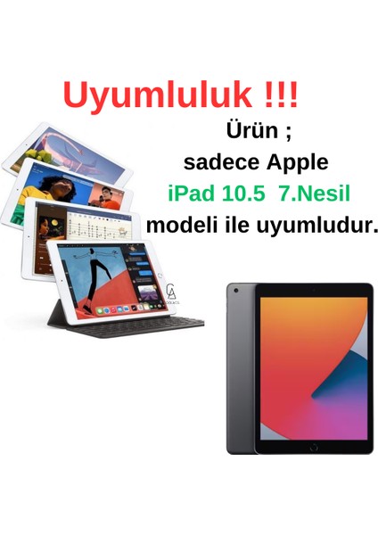 Apple iPad Air 10.5 7.nesil ile Uyumlu Simli Tasarımlı Tablet Kılıfı
