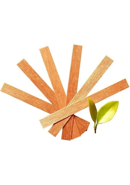 20 Adet 10X100MM Tarzı Sustainer Sekmesi ile Ahşap Mumlar Fitil Dıy Mum Yapımı Malzemeleri Dıy Mum Malzemesi Için Soya Parfin Balmumu Fitili (Yurt Dışından) indirimleri