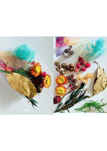 Renkli 20G Stili 1 Kutu Gerçek Kurutulmuş Çiçek Kuru Bitkiler Aromaterapi Mum Epoksi Reçine Kolye Kolye Takı Craft Için Dıy Yapma (Yurt Dışından)