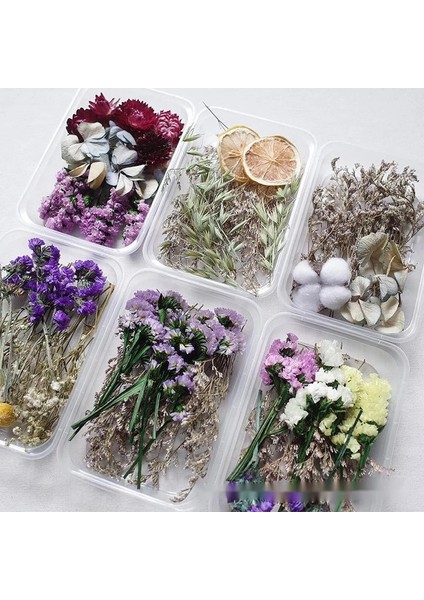 Renkli 20G Stili 1 Kutu Gerçek Kurutulmuş Çiçek Kuru Bitkiler Aromaterapi Mum Epoksi Reçine Kolye Kolye Takı Craft Için Dıy Yapma (Yurt Dışından)