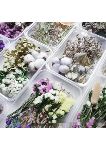Renkli 20G Stili 1 Kutu Gerçek Kurutulmuş Çiçek Kuru Bitkiler Aromaterapi Mum Epoksi Reçine Kolye Kolye Takı Craft Için Dıy Yapma (Yurt Dışından)